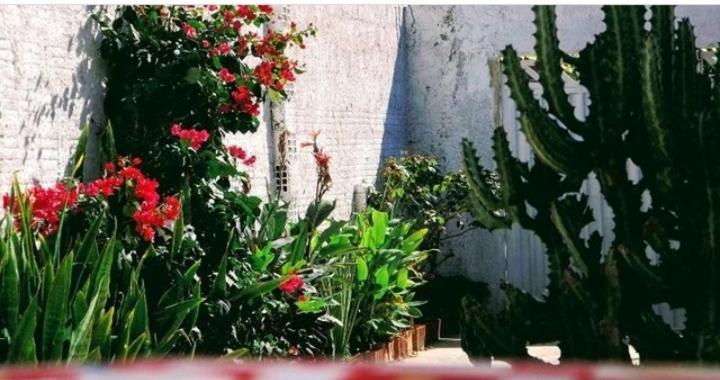 Pousada E Hostel Muiraquita Canoa Quebrada Exteriér fotografie
